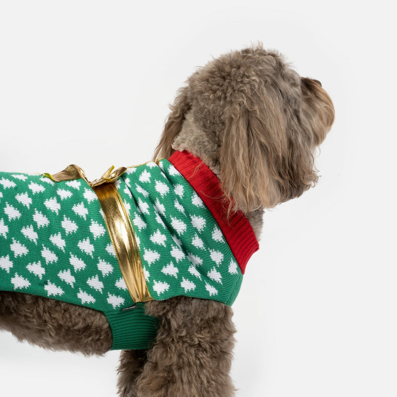 Gift Dog Sweater
