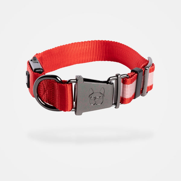 LED Dog Collar - Red